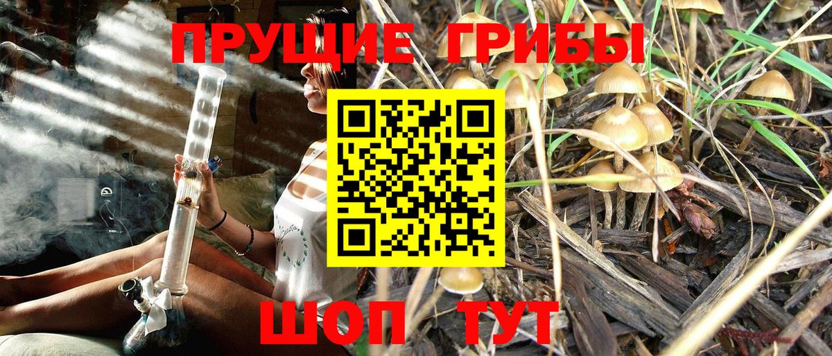 Галлюциногенные грибы прущие грибы  Вход с VPN  Медногорск  Галлюциногенные грибы MAGIC MUSHROOMS 